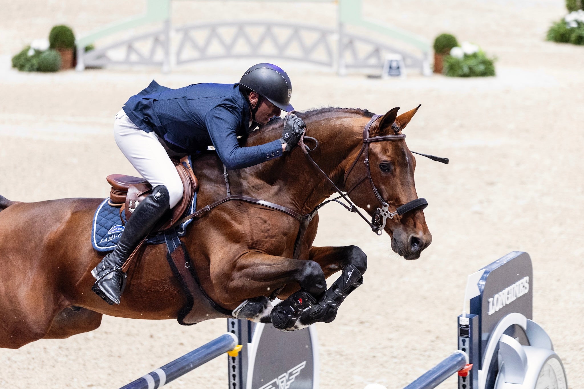 Bombe Équitation : Casques équestres