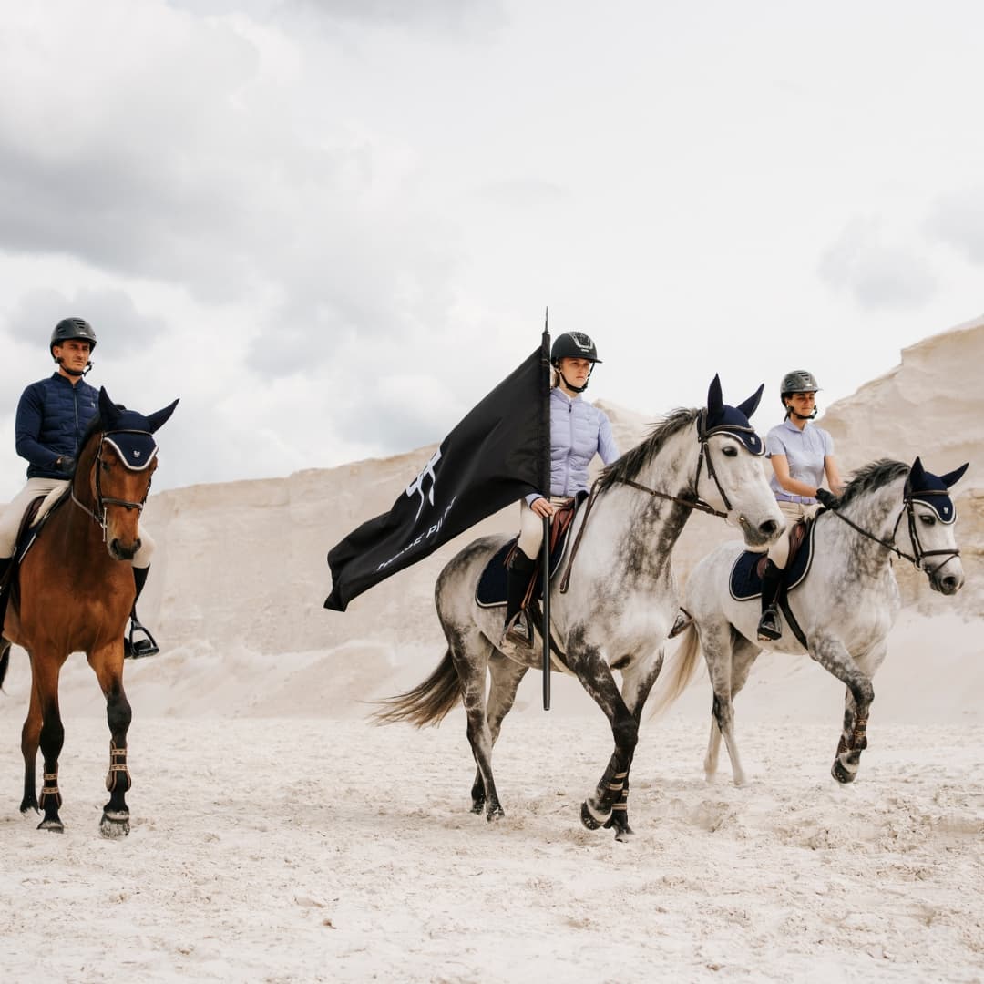 Accessoires d'équitation - Chevaux - Animaux