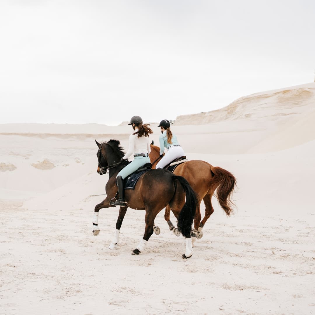 Horse Pilot • Technical equestrian clothing and equipment Horse Pilot