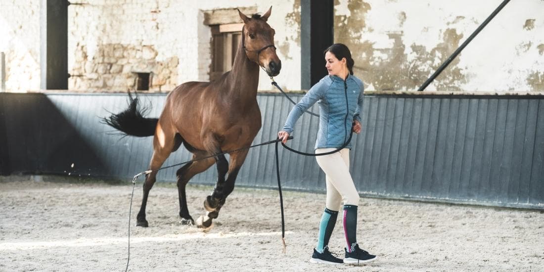 Vestes d'équitation femme homme enfant Horse Pilot pour monter à