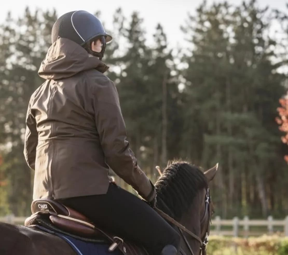 Equipement cheval pour la pratique du CSO : matériel chevaux