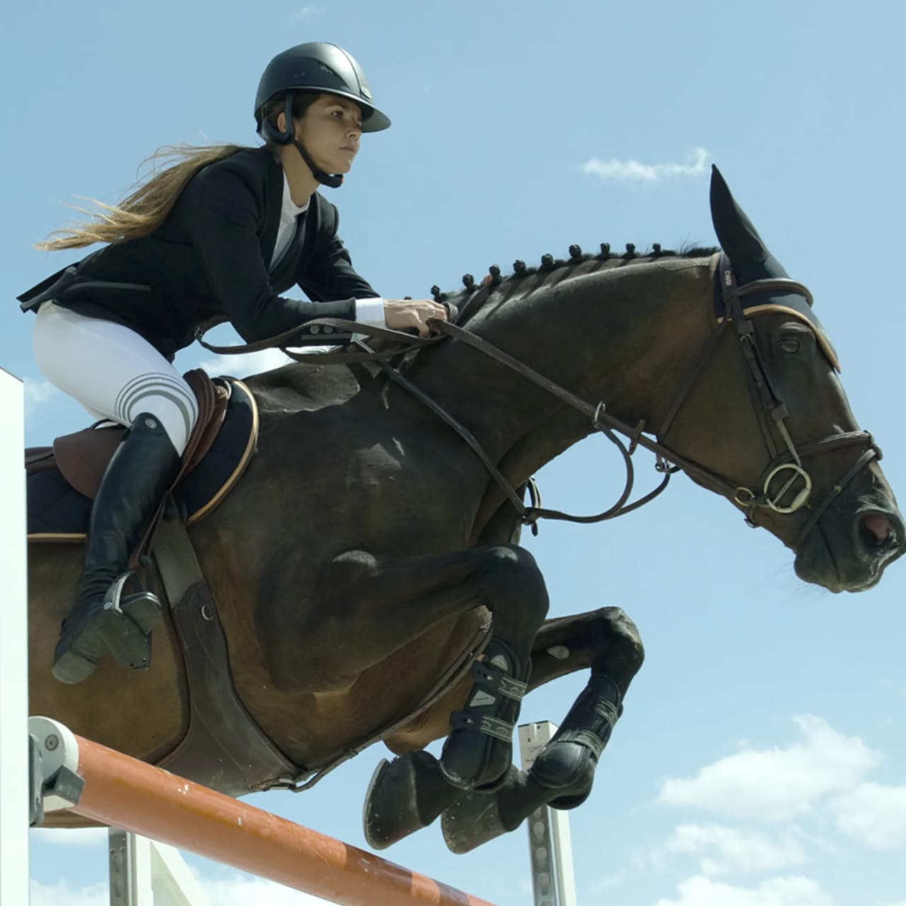 Tapis de selle Cheval - saut d'obstacle - dressage - randonnée