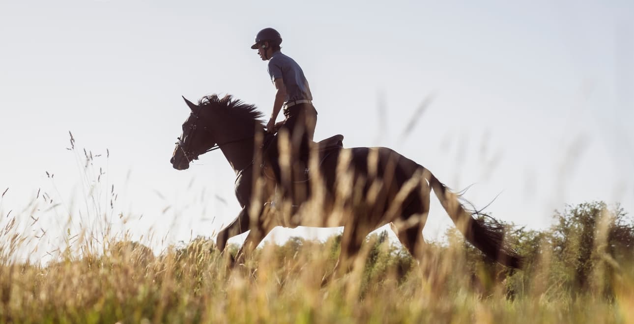 Men's selection of products for horse trekking