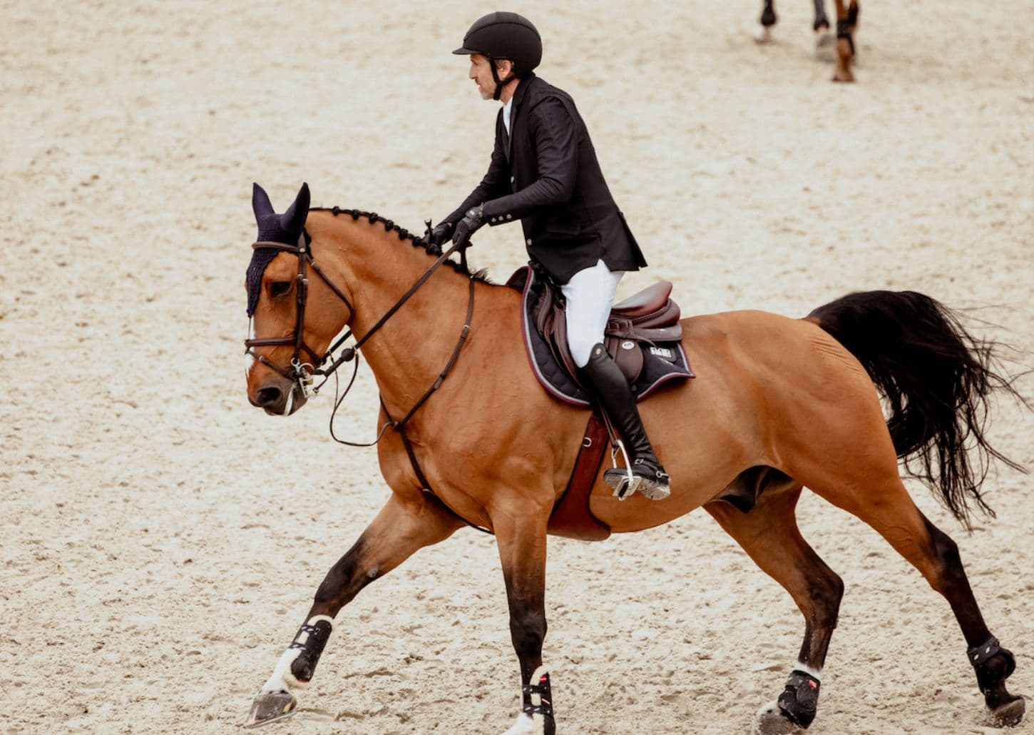 Guillaume Canet cavalier