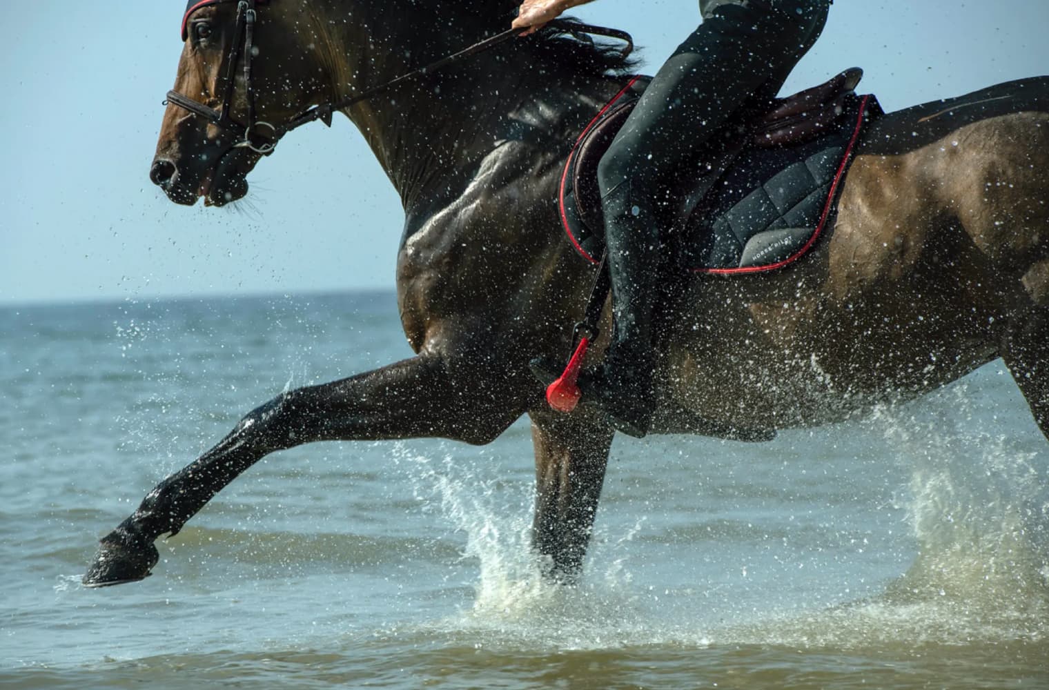 Horse riding ocean beach use utilisation