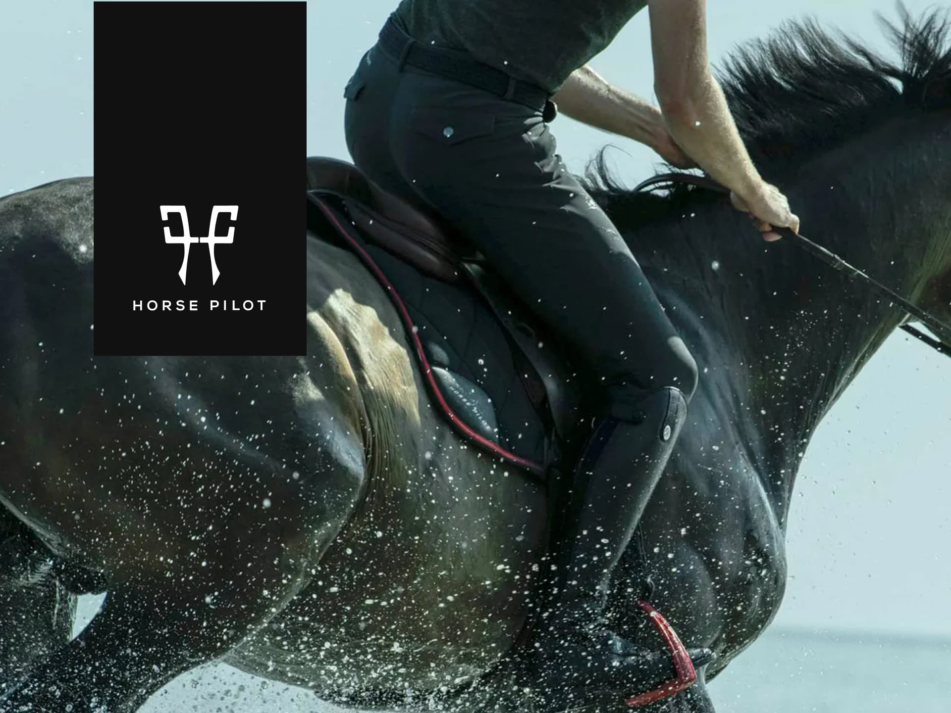 gift card Horse Pilot