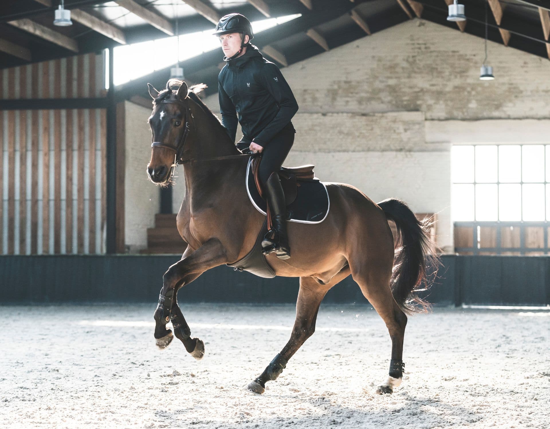 tapis de selle et bonnet d'oreille pour chevaux