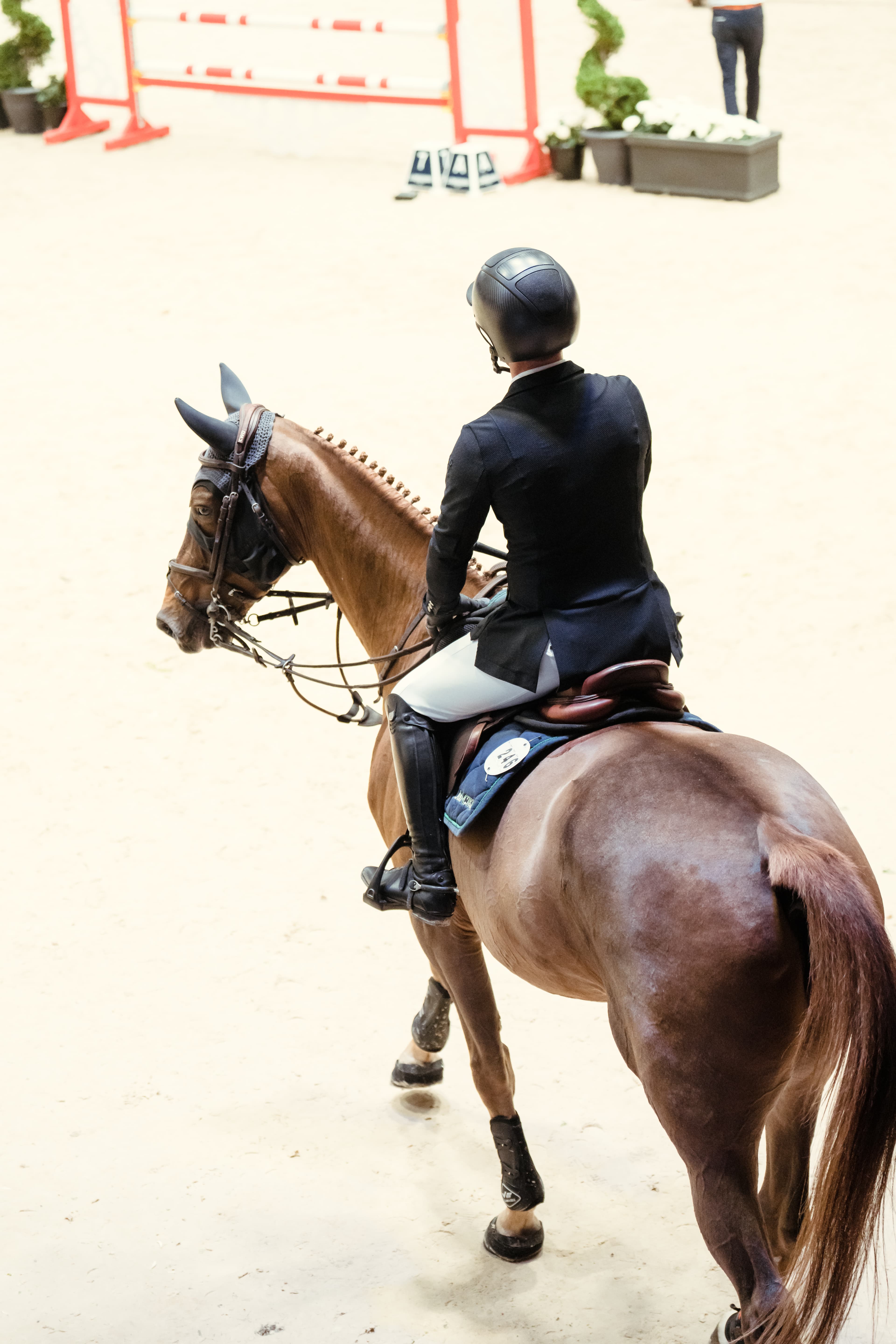 cavalier portant une veste de concours hippique
