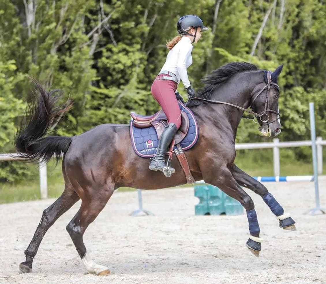 pantalon d'entraînement à cheval