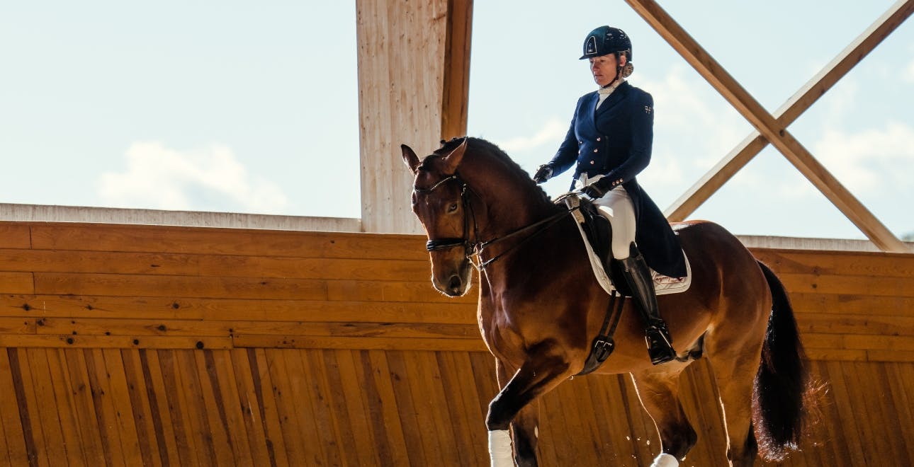 Products for dressage riders