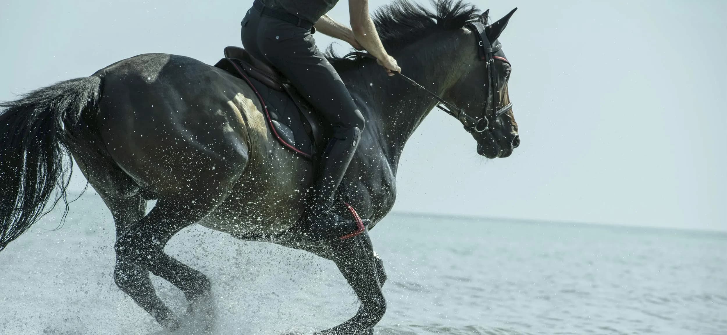 Equestrian equipment for horseman