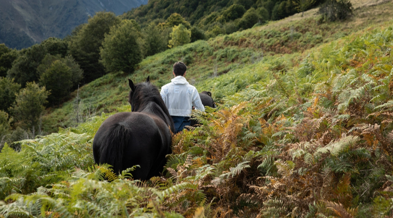 Plantes et arbes toxiques chevaux|Bien-être équestre|Horse Pilot