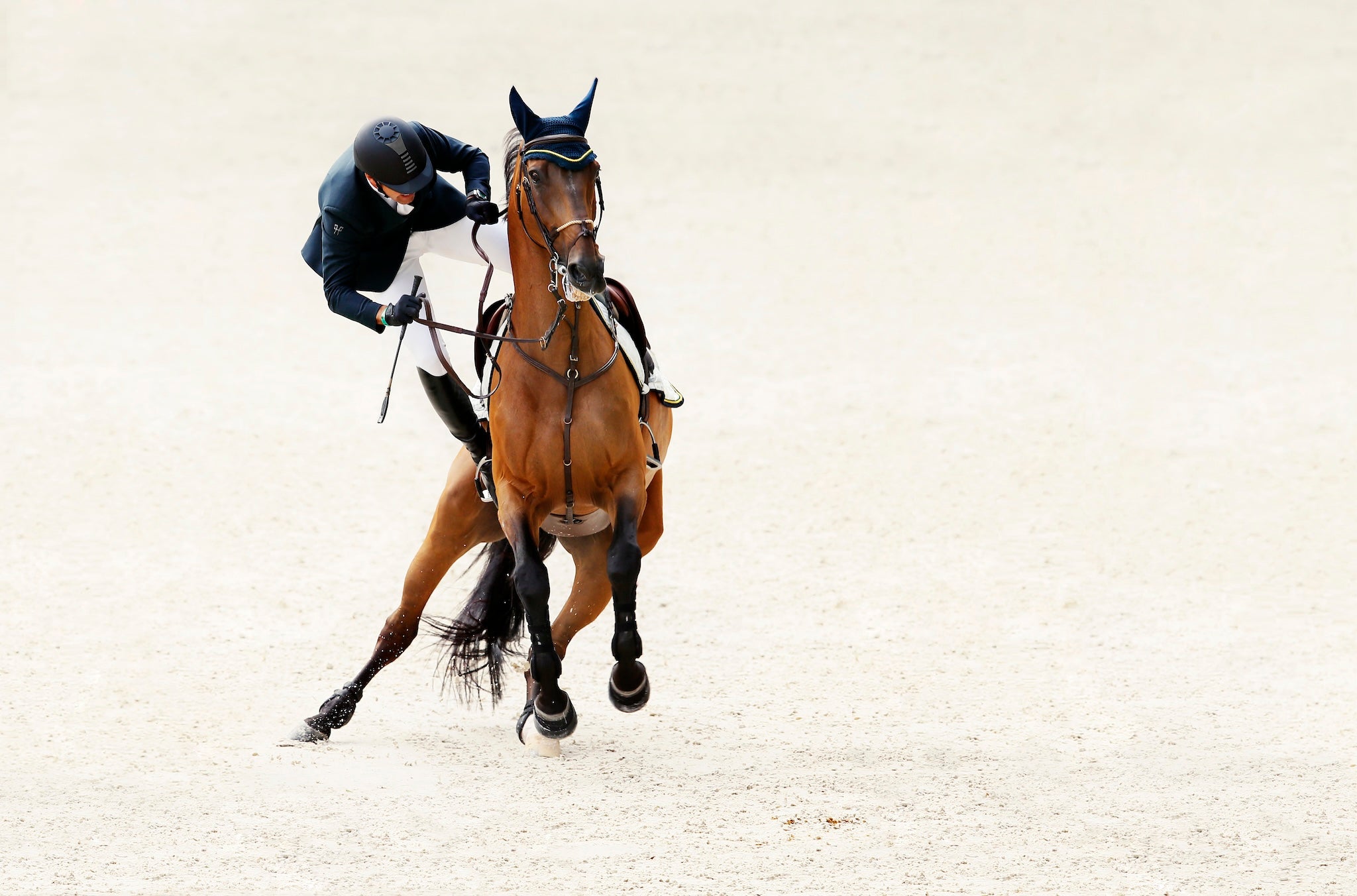 Chutes et protection à cheval|Innovation et protection équestre|Horse Pilot