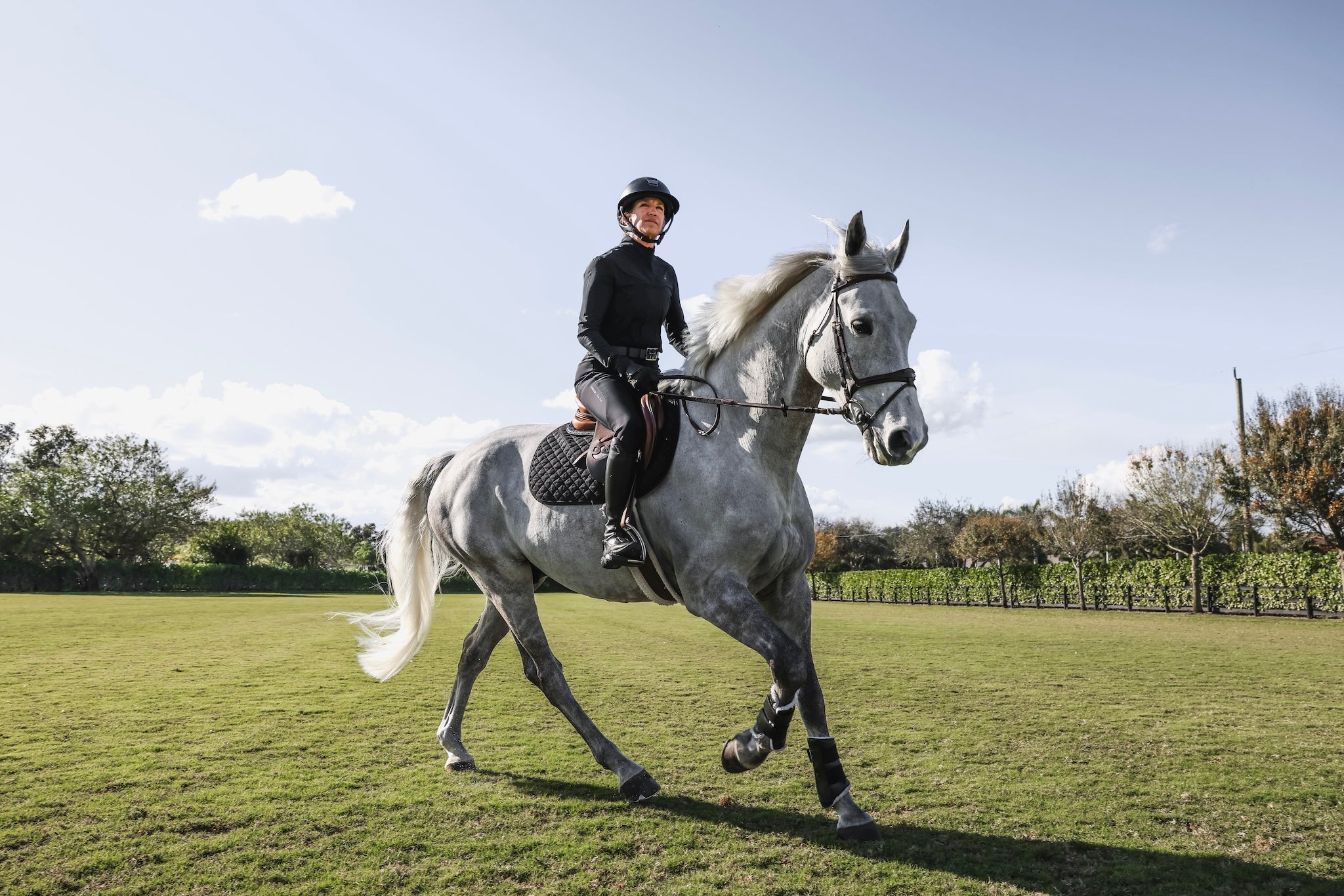 Horse Pilot × Laura Kraut