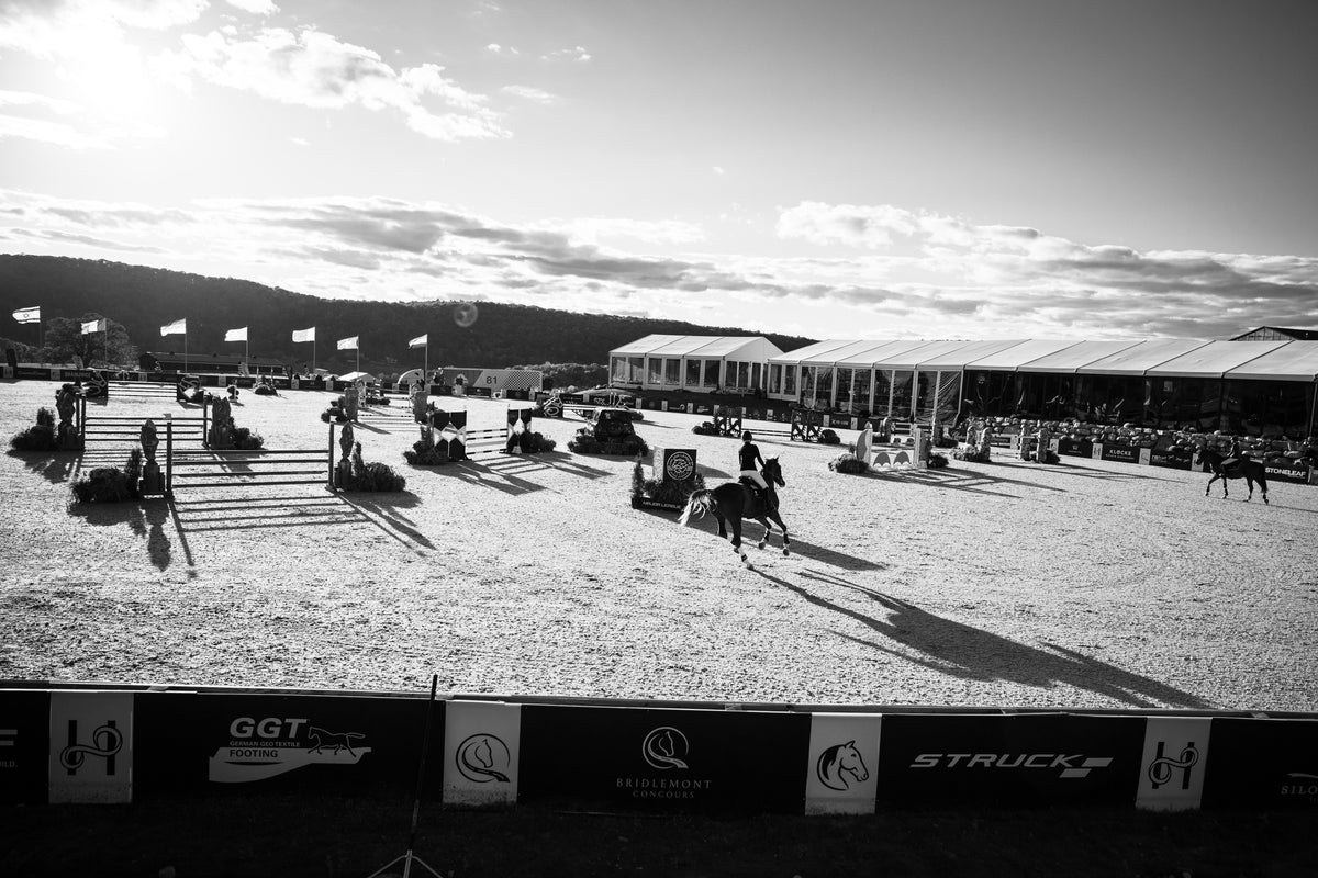 HORSE PILOT AT DISCOVERY LAND COMPANY MASTERS & THE HIGHLANDS CUP