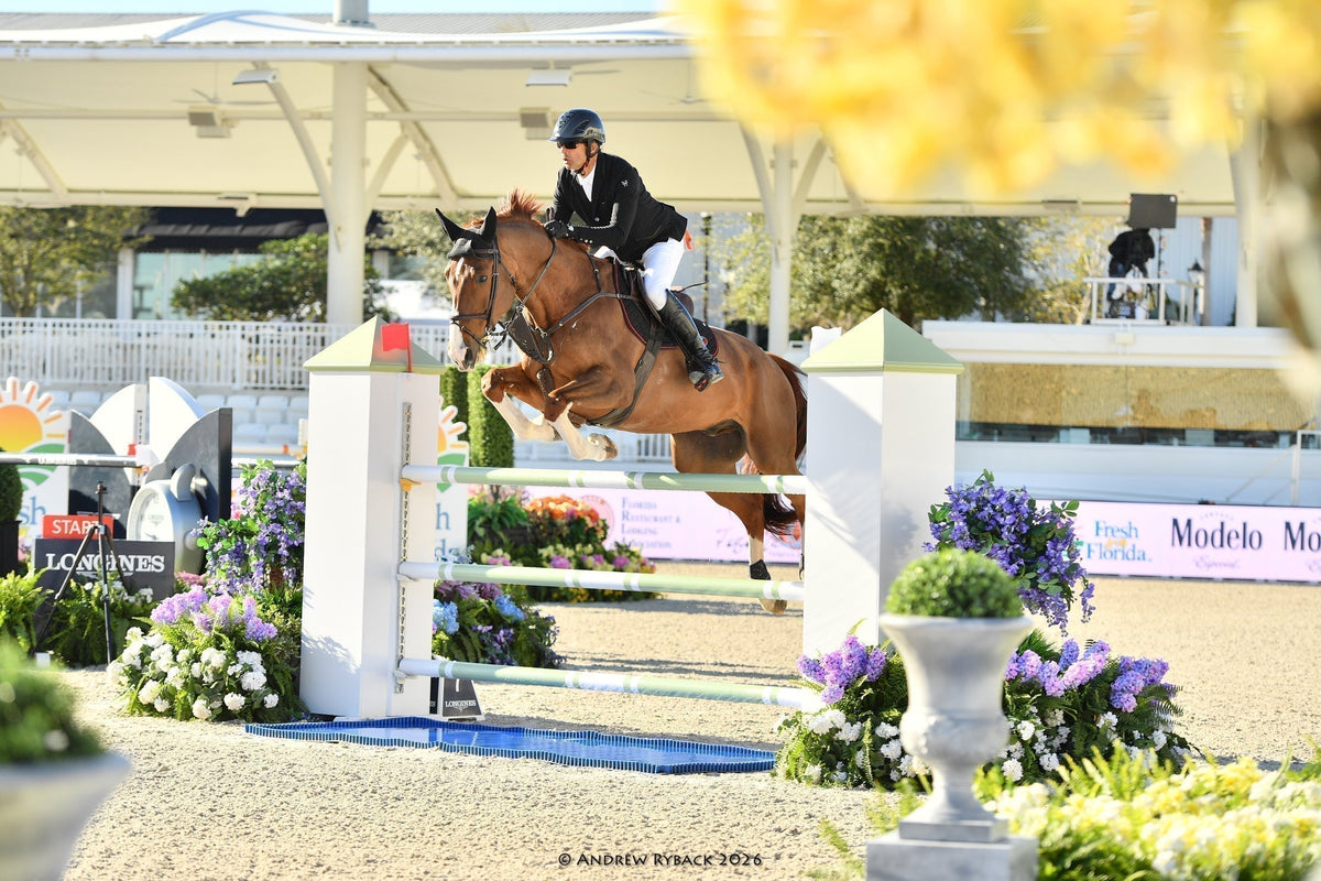 Checklist Concours d’équitation : pour ne rien oublier