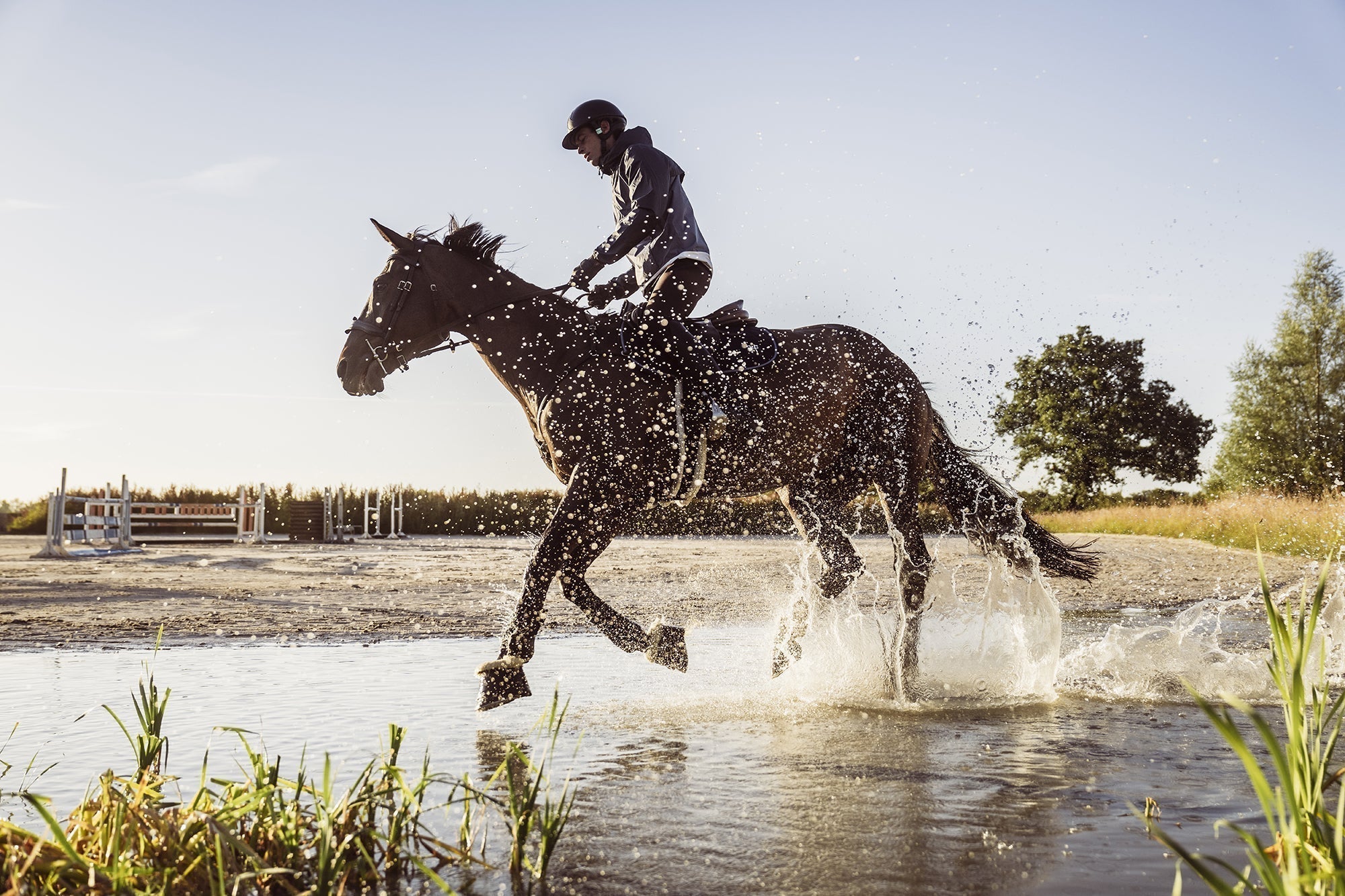 How To Start Endurance Horse Riding