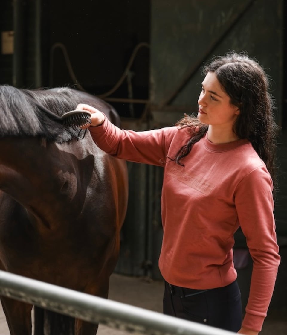 Team Sweat-Shirt équitation femme | Brick Dust | Horse Pilot