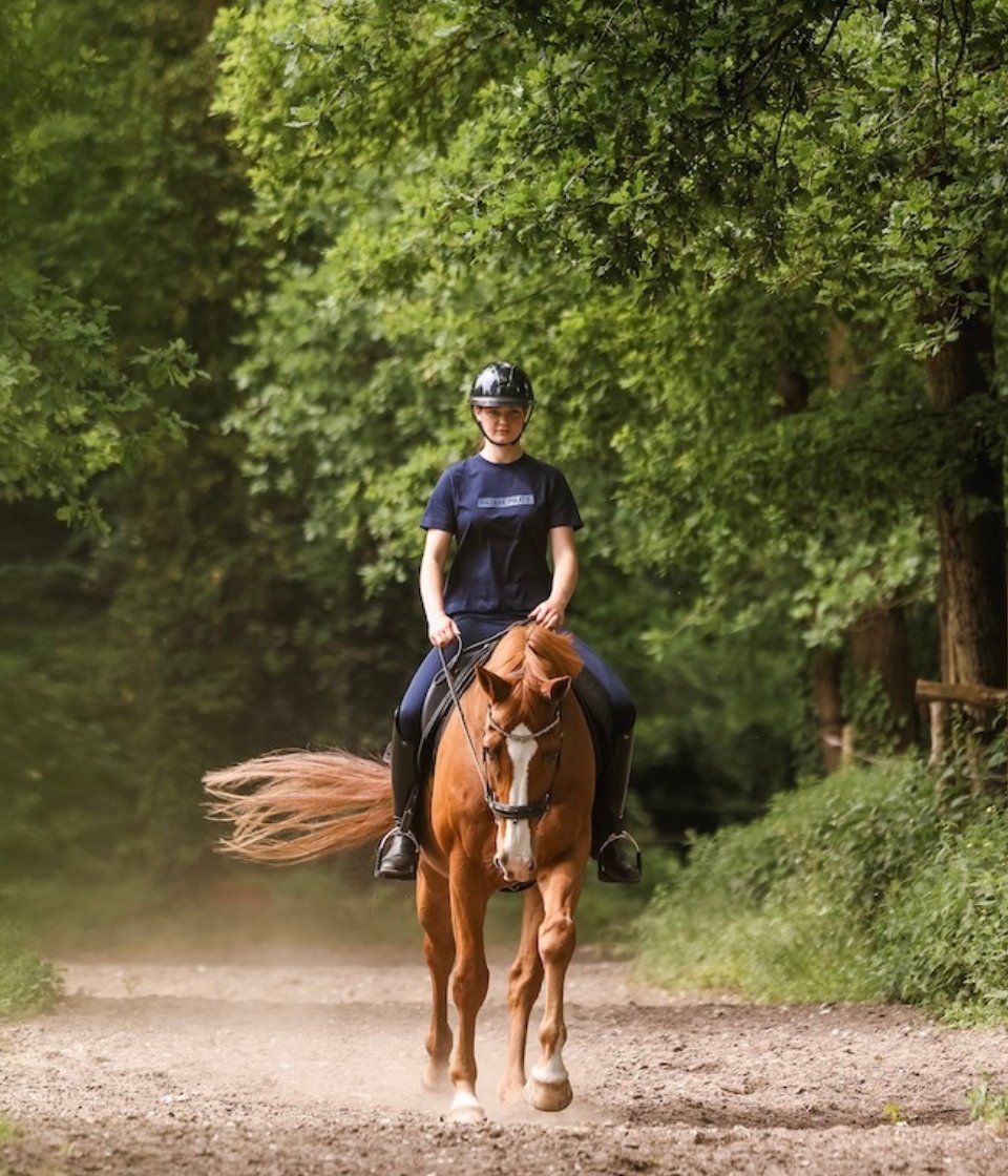 Team T-shirt d'équitation femme | Navy | Horse Pilot