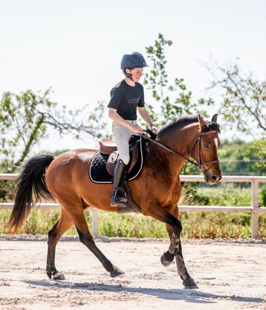 Team Shirt | Black | T-shirt d'équitation | Horse Pilot