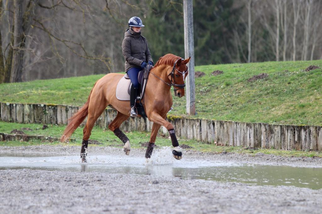 CAMILLE_JUDET|ENTRAINEMENT|HORSEPILOT