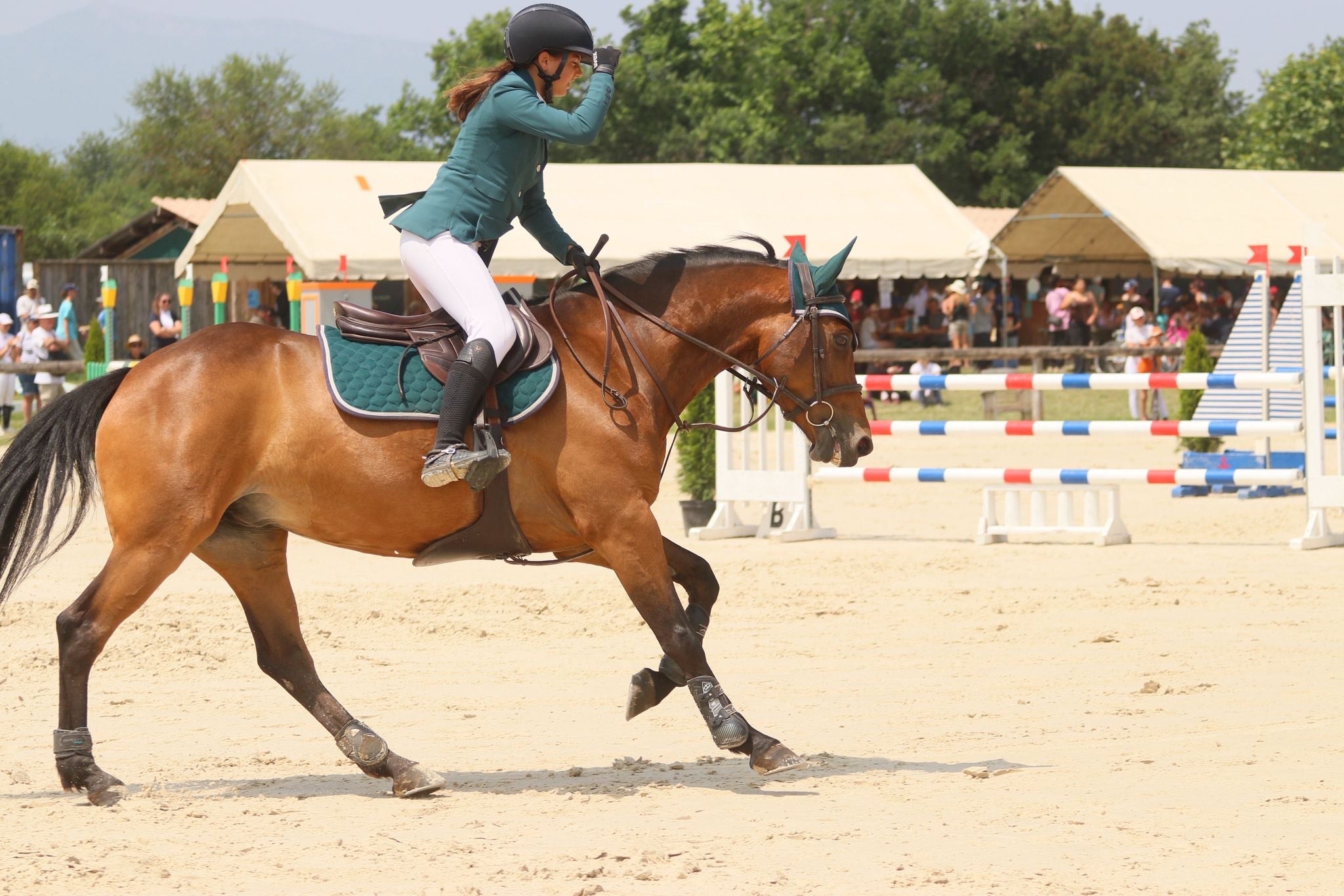 CAROLINE_SALDAMACCHIA|COMPETITION|EQUITATION|HORSEPILOT