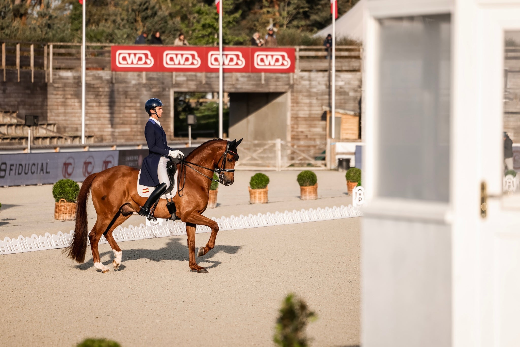 JUAN_MATUTE_GUIMON|DRESSAGE|HORSEPILOT