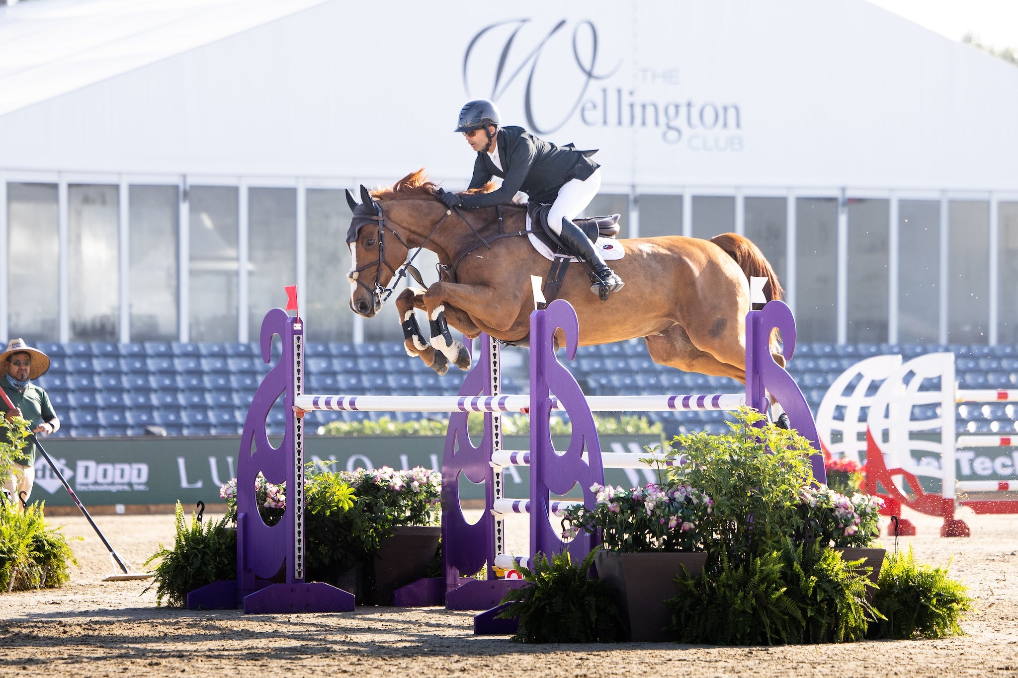 NICOLAS_PAILLOT|WEF|HORSEPILOT