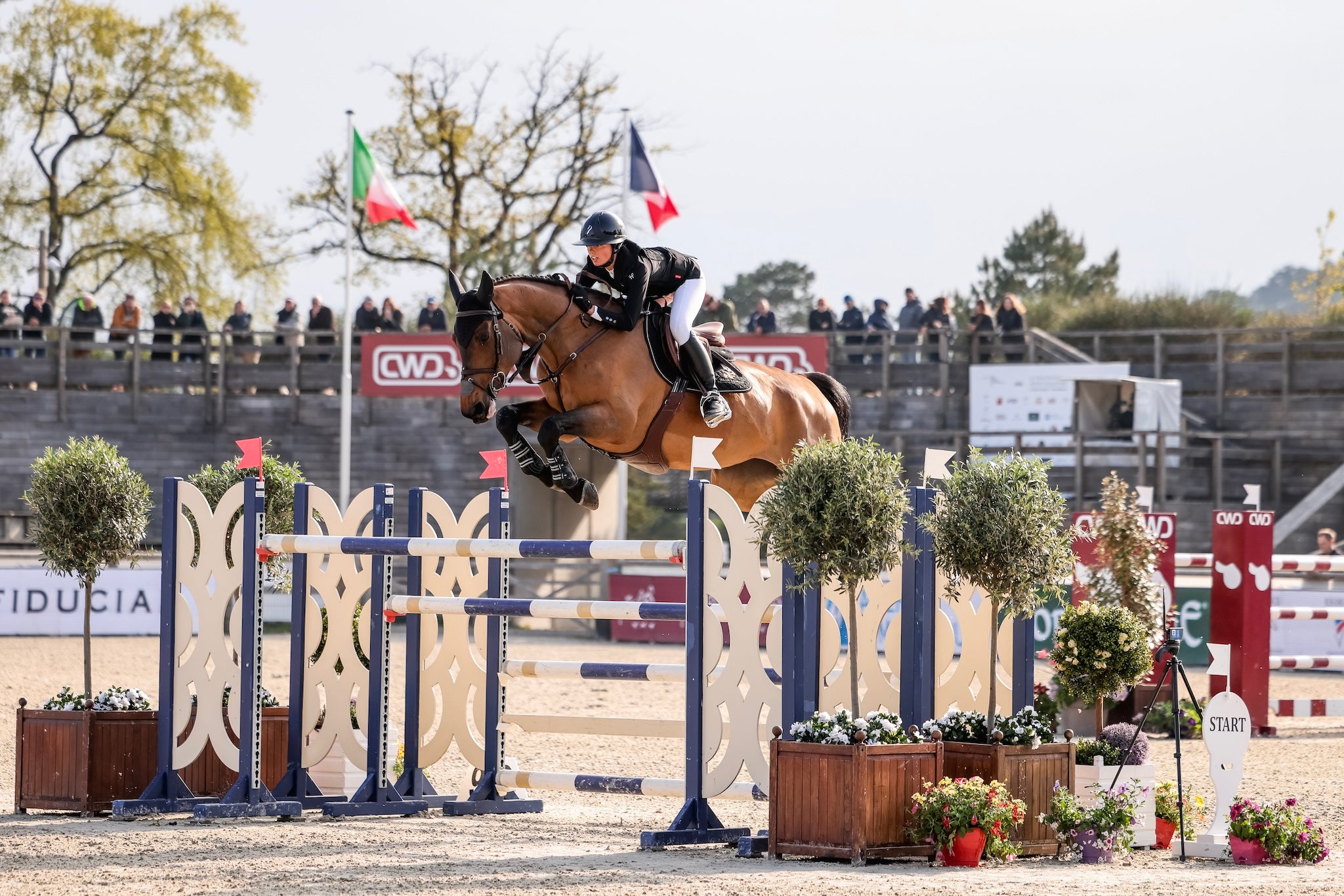 NINA_MALLEVAEY|FONTAINEBLEAU|HORSEPILOT