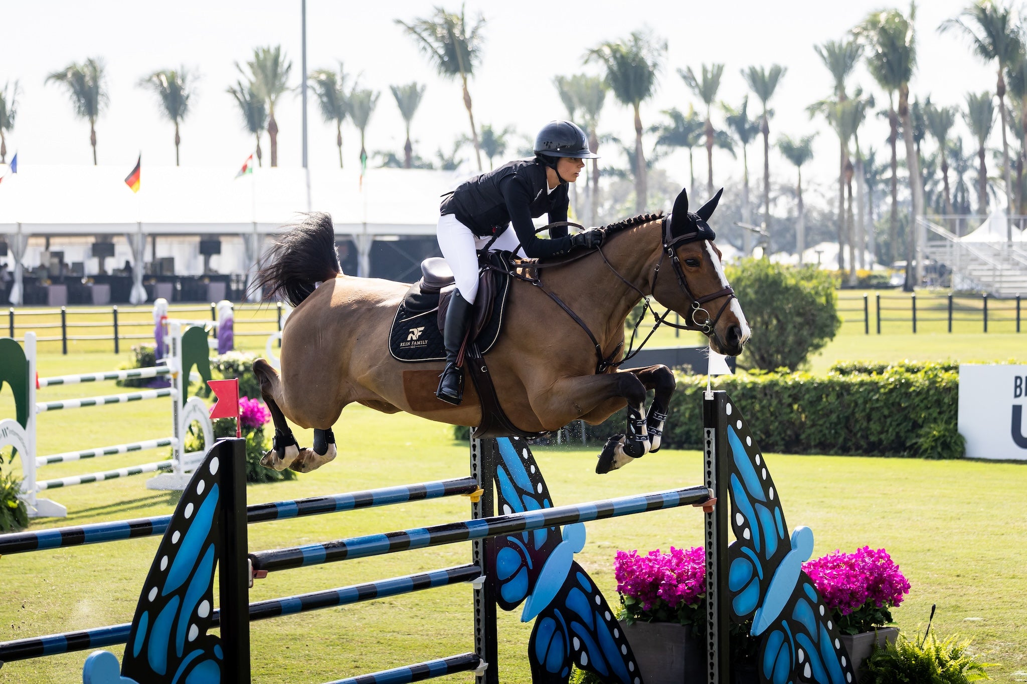 NINA_MALLEVAEY|WEF|HORSEPILOT