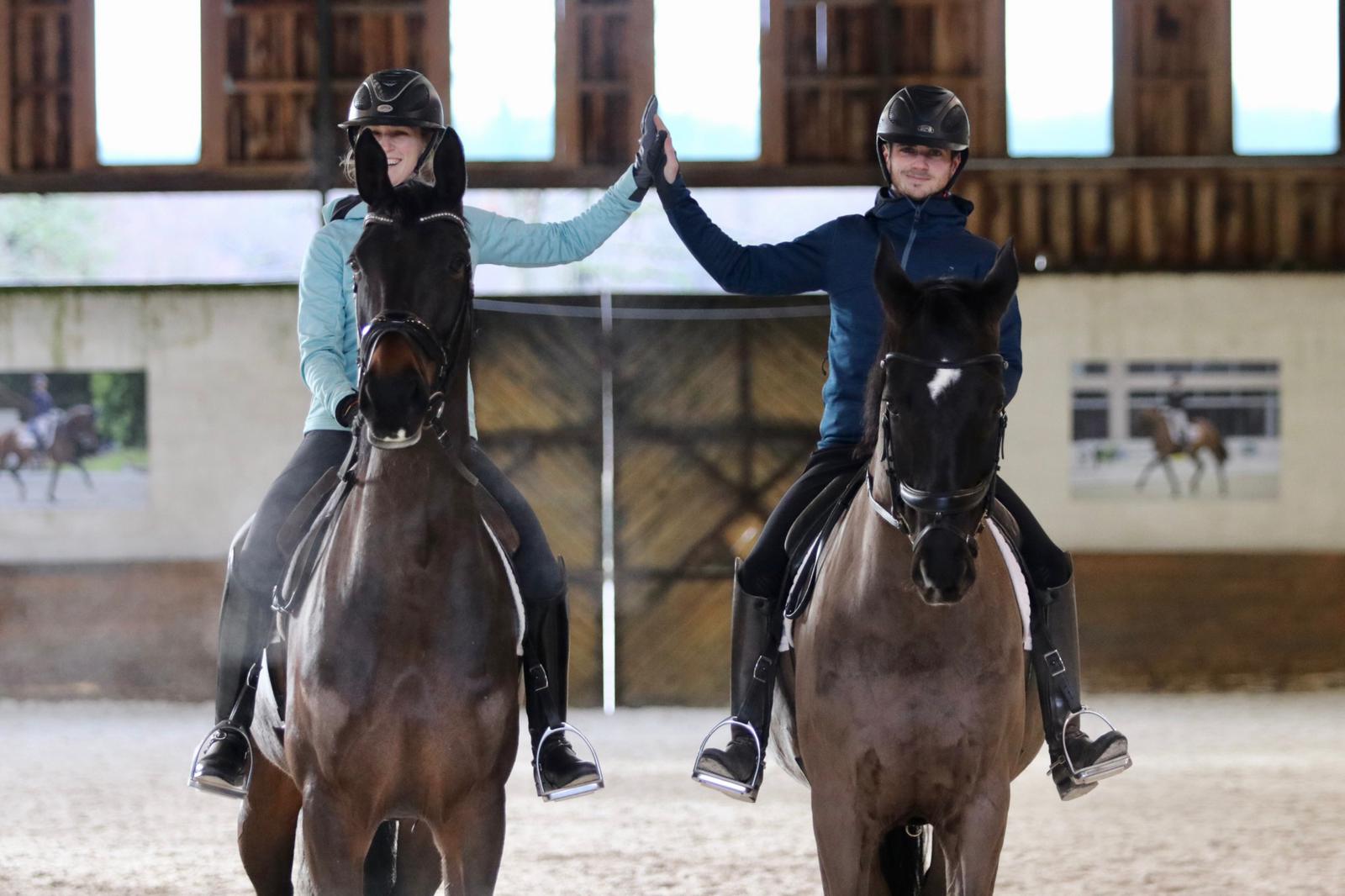 PAMFOU|DRESSAGE TEAM|HORSEPILOT