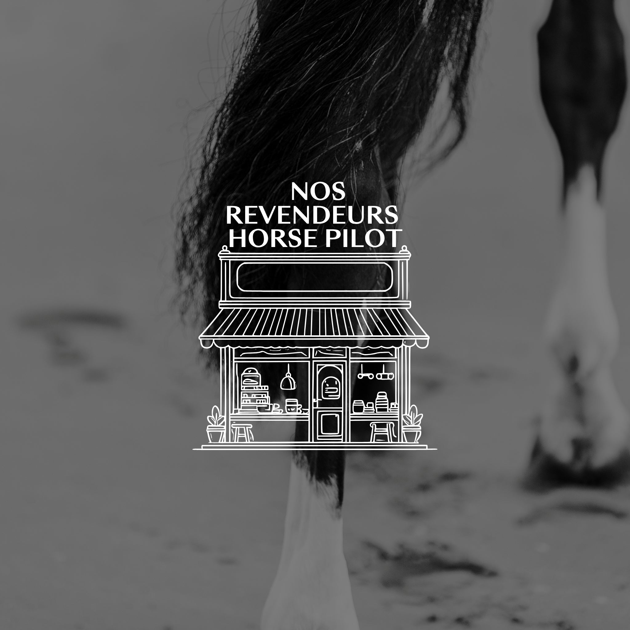 REVENDEURS-HORSE-PILOT-OU-NOUS-TROUVER