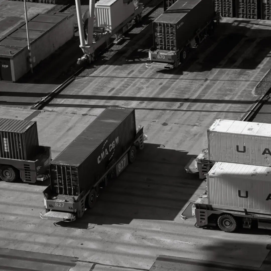 La gestion des livraisons chez Horse Pilot