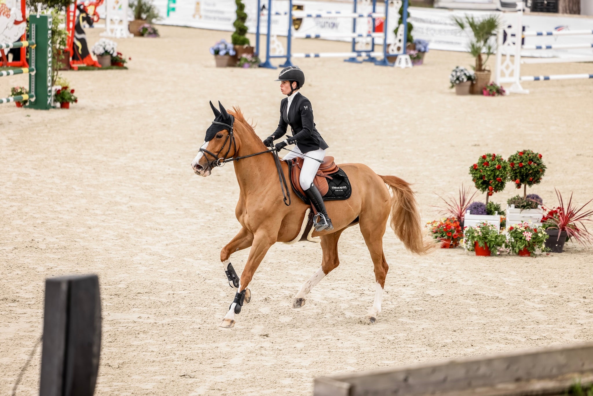 SKALLI|FONTAINEBLEAU|HORSEPILOT