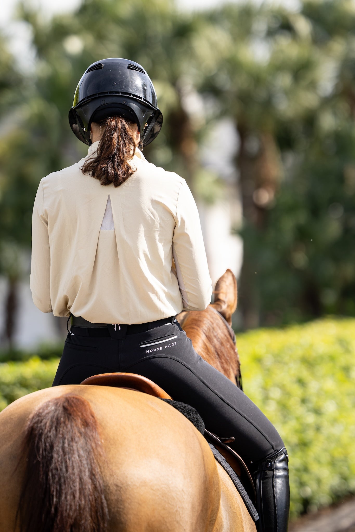 SUNRISE|MAGGIE|HORSEPILOT